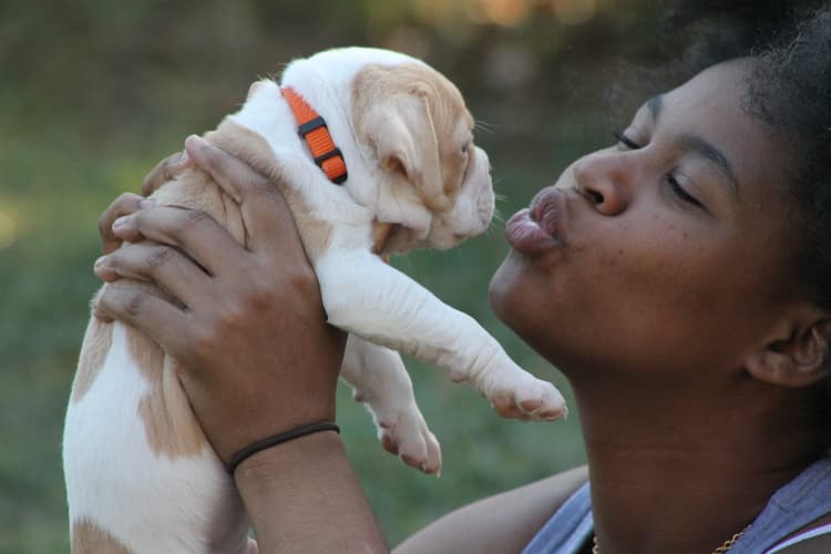 Kissing a puppy — the bond between handler and dog